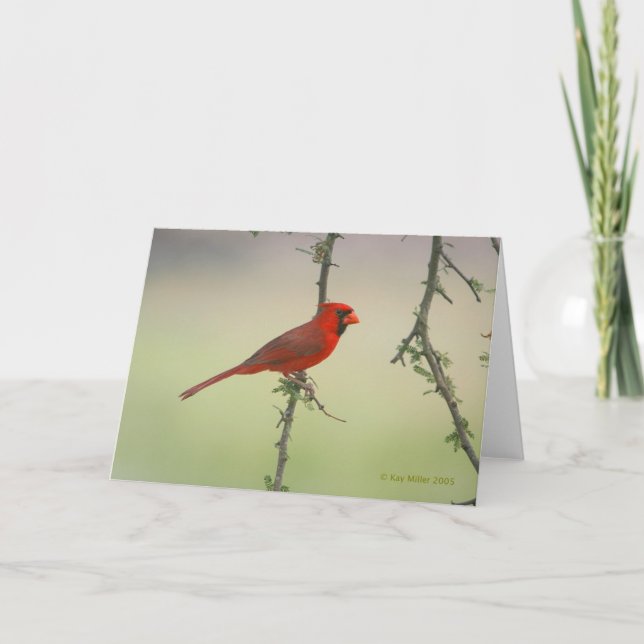 Mr. Cardinal Card (Front)