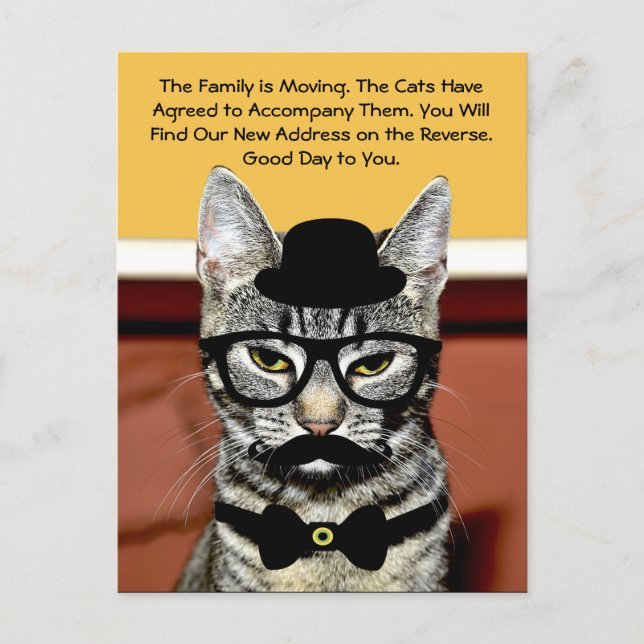 Mr. Cat Announces Upcoming Family Move Announcement Postcard (Front)