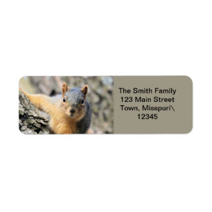 Mr.Cutie Return Address Label