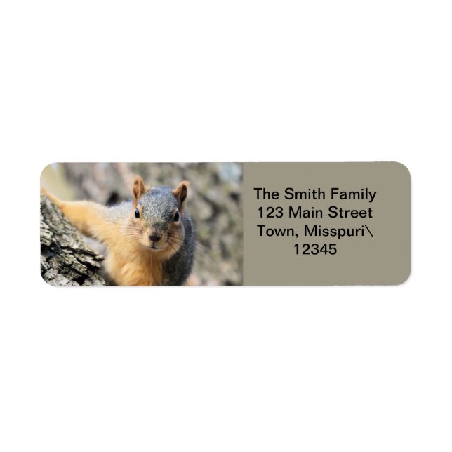 Mr.Cutie Return Address Label (Front)