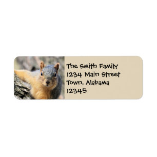 Mr.Cutie Return Address Label