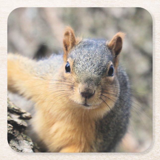 Mr.Cutie Square Paper Coaster (Front)