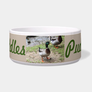Mr. Duck