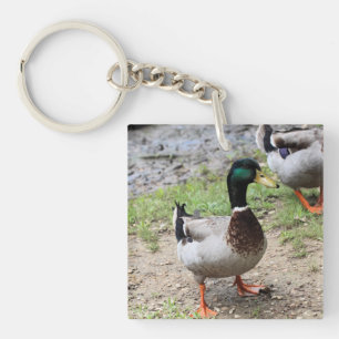 Mr. Duck Key Ring