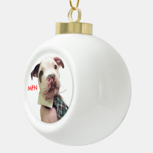 Mr Fig Newton Ornament #1