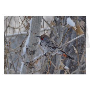 Mr. Flicker
