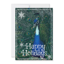 Mr Flowers Holiday Bloom