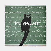 Mr. Gallant Magnet