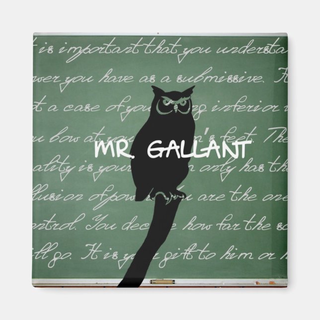 Mr. Gallant Magnet (Front)