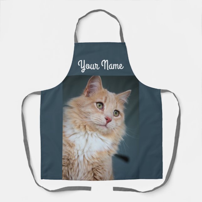 Mr. Handsome Apron (Front)
