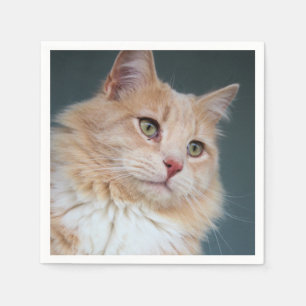 Mr. Handsome Napkin