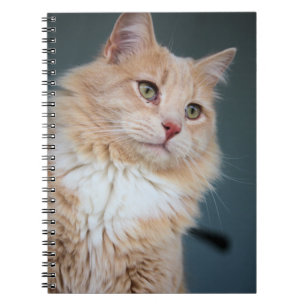 Mr. Handsome Notebook