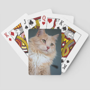Mr. Handsome Playing Cards