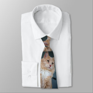 Mr. Handsome Tie