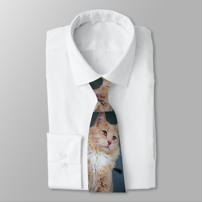 Mr. Handsome Tie (Tied)