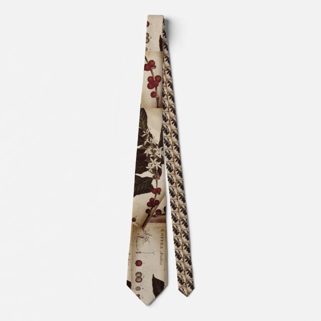 Mr. Hooton Coffee Botanical Tie (Front)