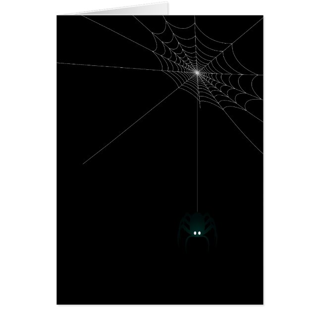 Mr. Itsy Bitsy (Front)