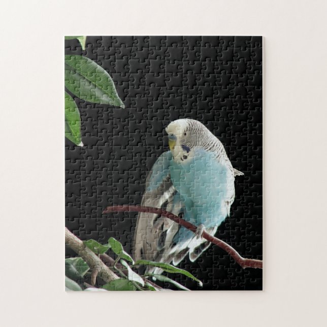Mr. Jill Budgie Puzzle (Vertical)