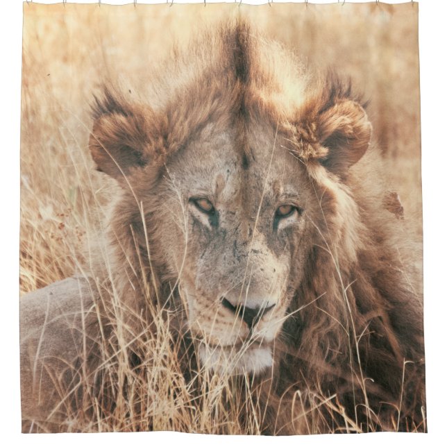 MR LION KING SHOWER CURTAIN (Front)