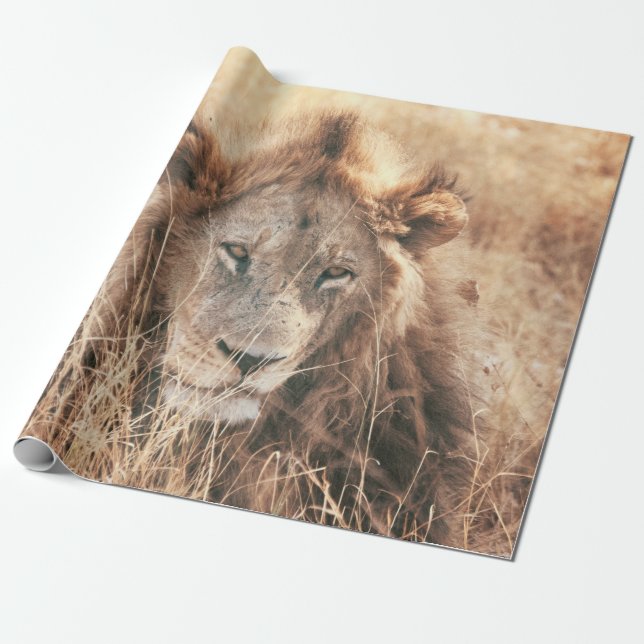 MR LION KING WRAPPING PAPER (Unrolled)