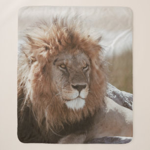 MR LION SHERPA BLANKET
