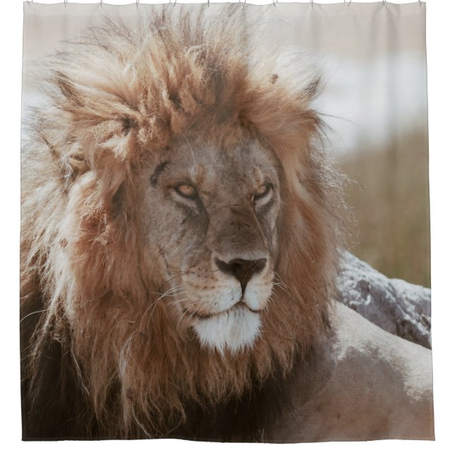MR LION SHOWER CURTAIN (Front)