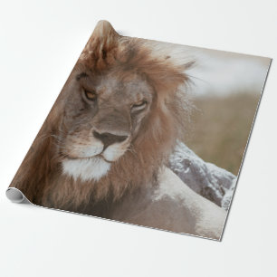 MR LION WRAPPING PAPER