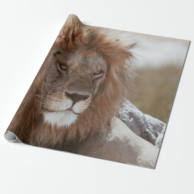 MR LION WRAPPING PAPER (Unrolled)