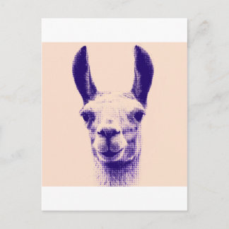 Mr Llama Postcard