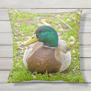 Mr. Mallard the Duck Outdoor Cushion