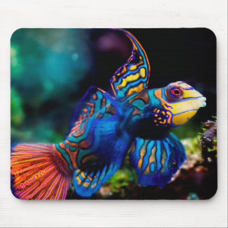 Mr. Mandarin Mouse Pad