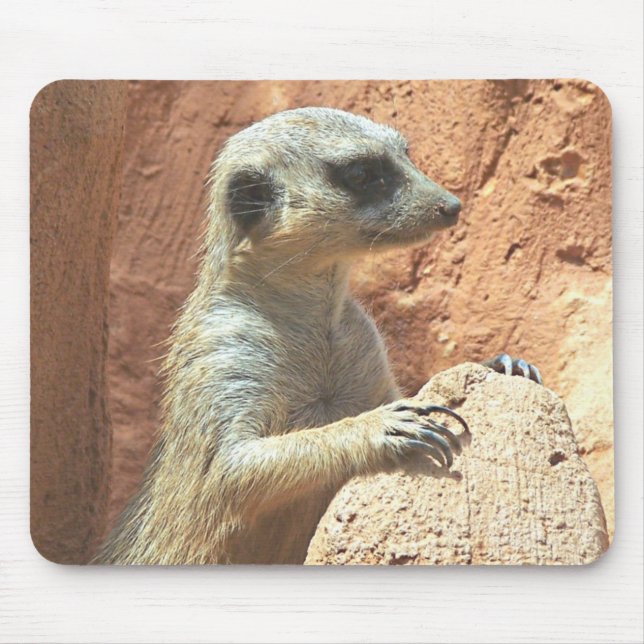 Mr Meerkat Mouse Pad (Front)
