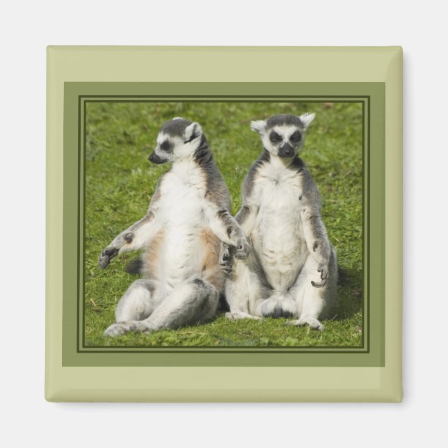 Mr & Mrs Lemur Magnet (Front)