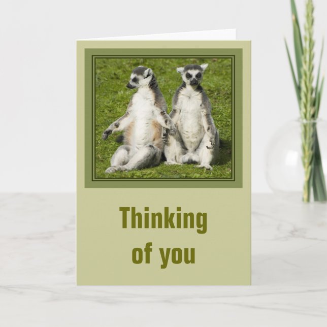 Mr & Mrs Lemur Thinking of you Card (Front)