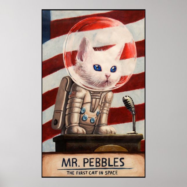 MR PEBBLES - High Quality Poster (Front)