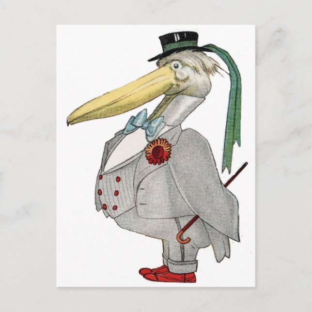 MR. PELICAN POSTCARD (Front)