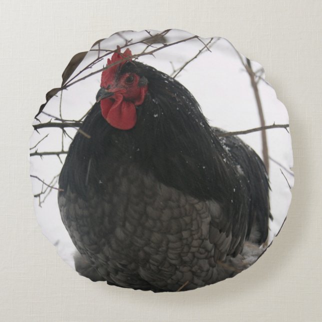 Mr. Precious - Rooster on Round Pillow (Front)