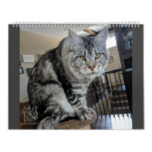 Mr. Puppy-Socks Calendar