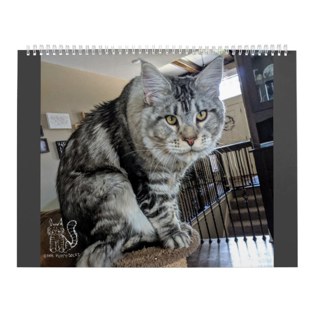 Mr. Puppy-Socks Calendar (Cover)