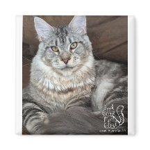 Mr. Puppy-Socks Magnet #4