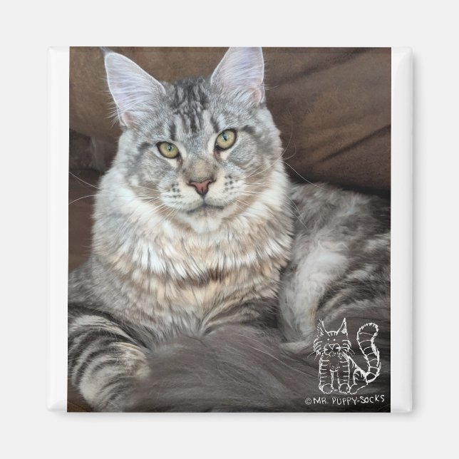 Mr. Puppy-Socks Magnet #4 (Front)