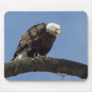 Mr. Serious Mouse Pad