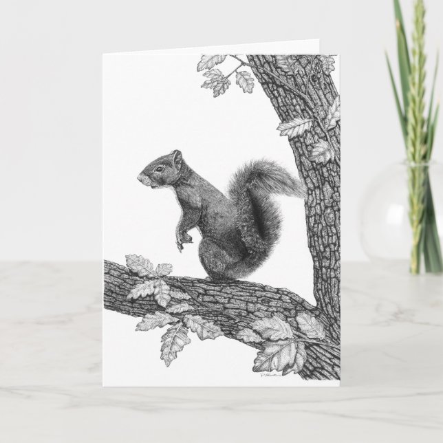 Mr Squirrel - Blank Note Card (Front)