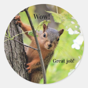 Mr. Squirrel's Great Job Student Stickers
