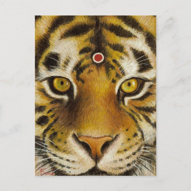 Mr Tiger Postcard (Front)