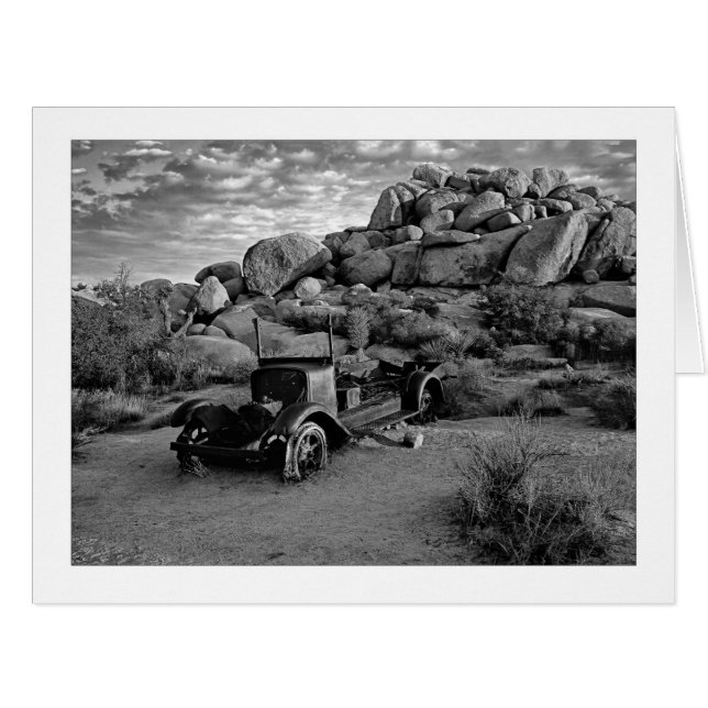 "Mr. Toads Last Wild Ride - Black & White" (Front Horizontal)