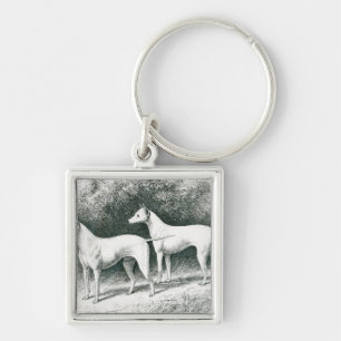Mr. Vero Shaw's White English Terriers Key Ring
