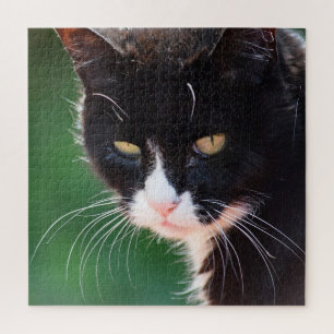 Mr. Whiskers - Cat Jigsaw Puzzle - 20x20 - 676 pc