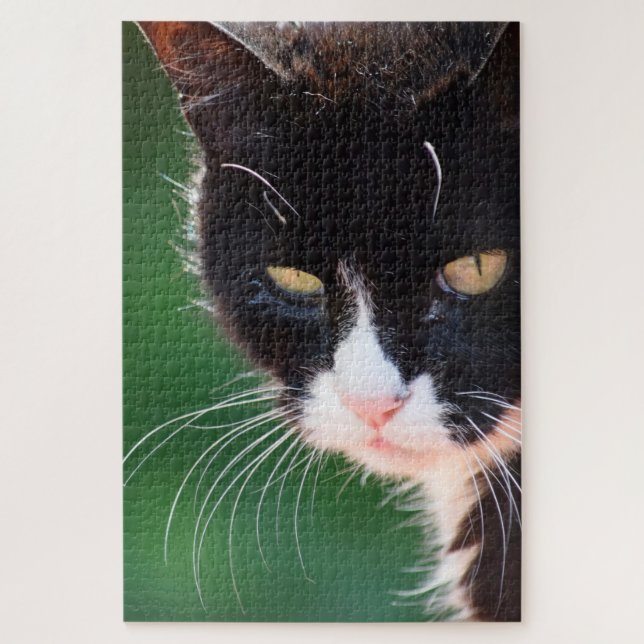 Mr. Whiskers - Cat Jigsaw Puzzle - 20x30 - 1014 pc (Vertical)