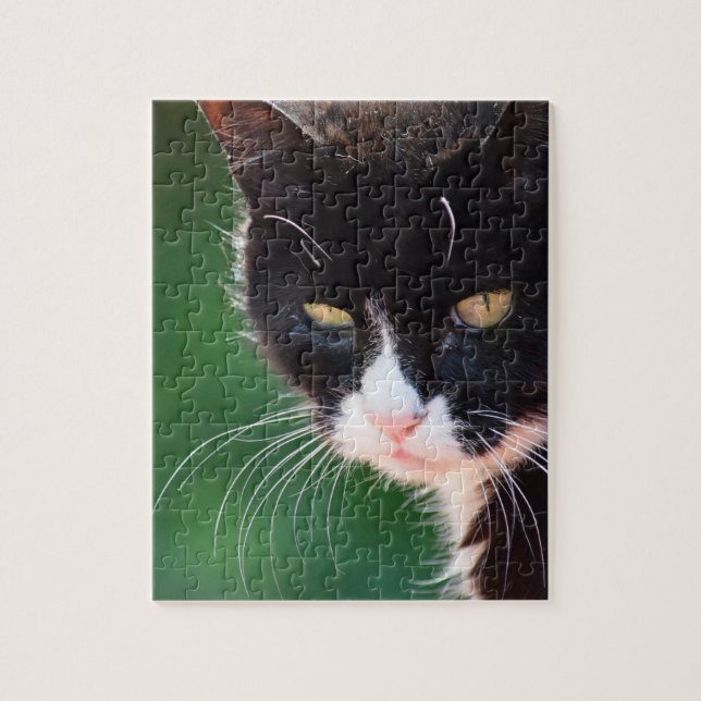 Mr. Whiskers - Cat Jigsaw Puzzle - 8x10 - 100 pc (Vertical)
